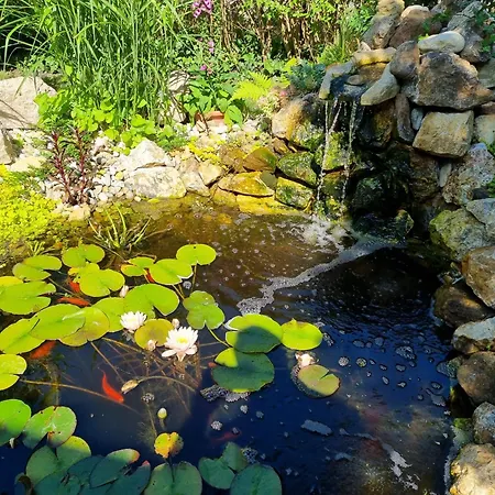 Häuschen Viktória Zamárdi