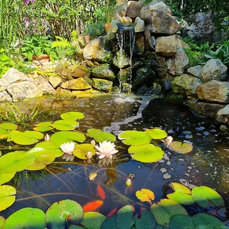 Haeuschen Viktoria * זמראדי