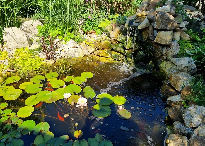 Haeuschen Viktoria Zamárdi