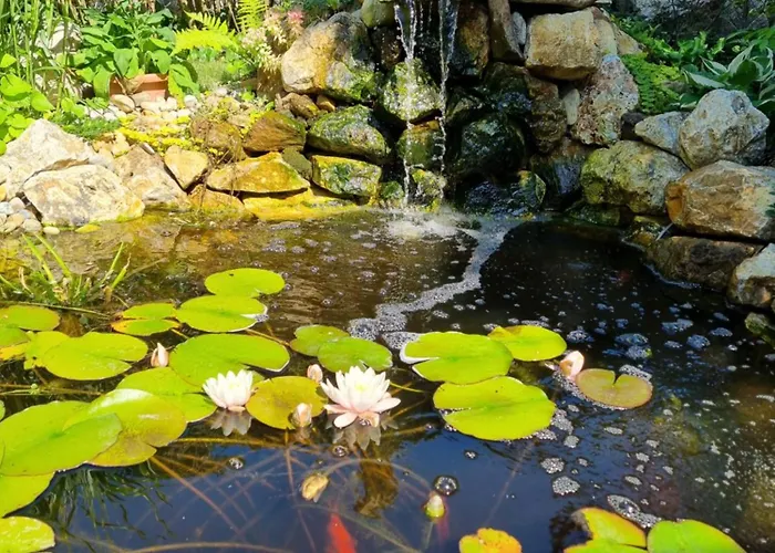 Haeuschen Viktoria * Zamárdi